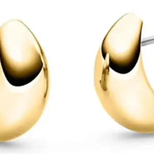 Mondförmige Titan-Ohrstecker, goldfarben, mit glattem Halbmond und silbernen Stiften