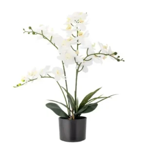 Kunstpflanze White Nola - 84 cm