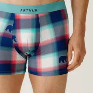 Boxers homme Bear MULTICOLORE 2